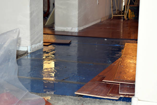 Professional Flood Damage Repair technician working in Wausaukee, WI